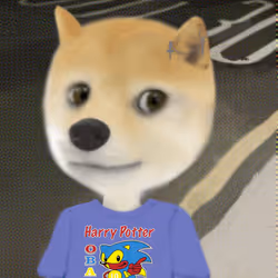 529
