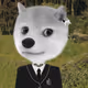 586