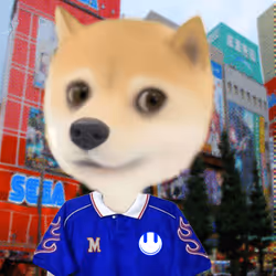 804
