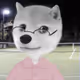 631