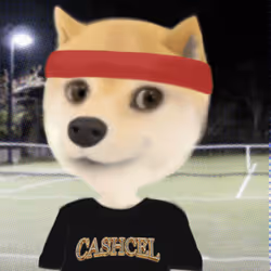 177