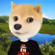 798