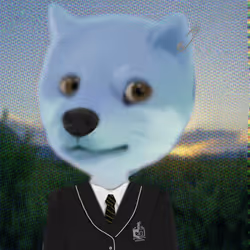 731