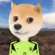 806