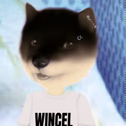 753