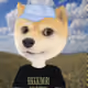 44