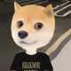 221