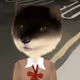883