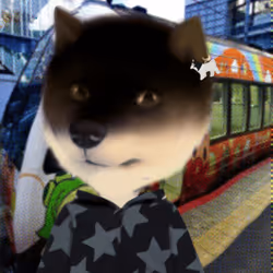 648