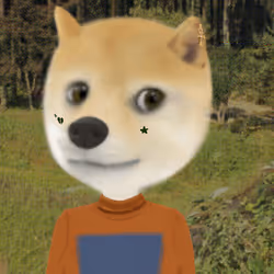 817