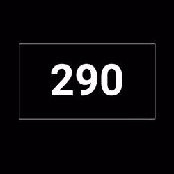 Player #290