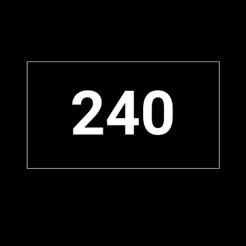Player #240