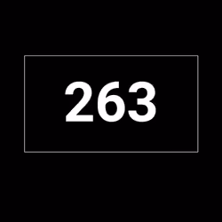 Player #263