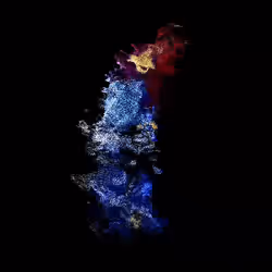 81