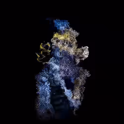 61