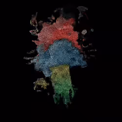32
