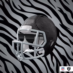 Raiders #26