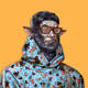 Icons #974