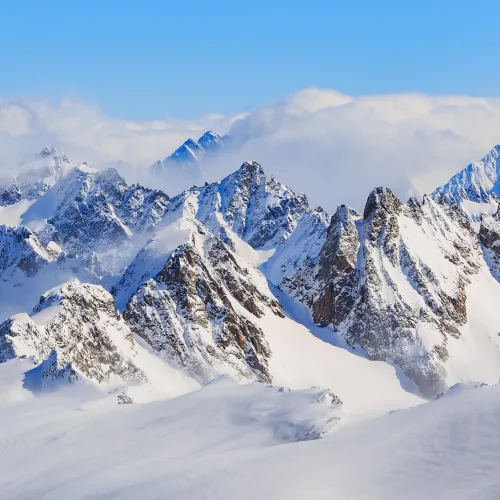 ALPI
