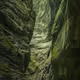 Ohsnap Nature