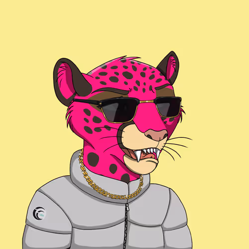 Coalition Crew 2 0