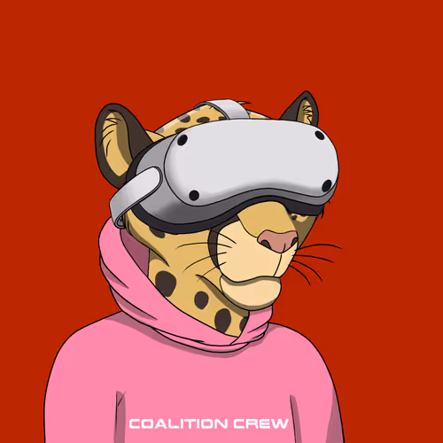 Coalition Crew 2 0