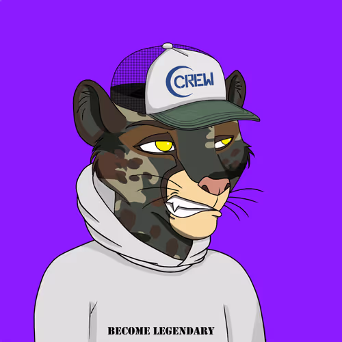 Coalition Crew 2 0