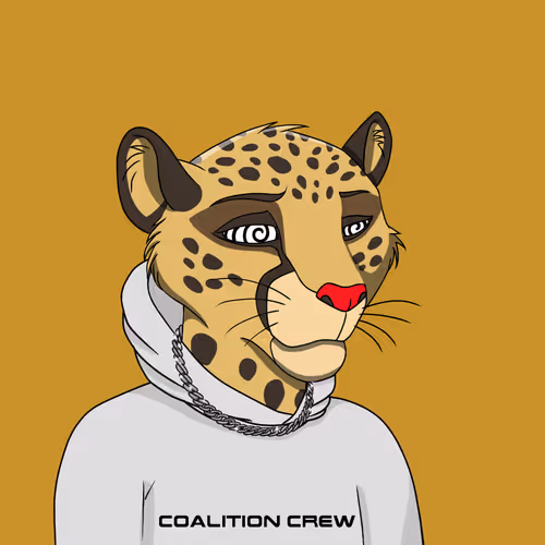 Coalition Crew 2 0