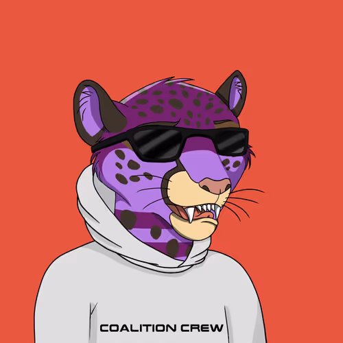 Coalition Crew 2 0