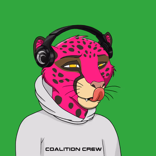 Coalition Crew 2 0