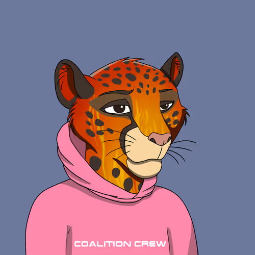 Coalition Crew 2 0