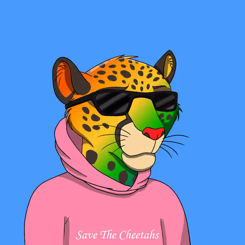Coalition Crew 2 0