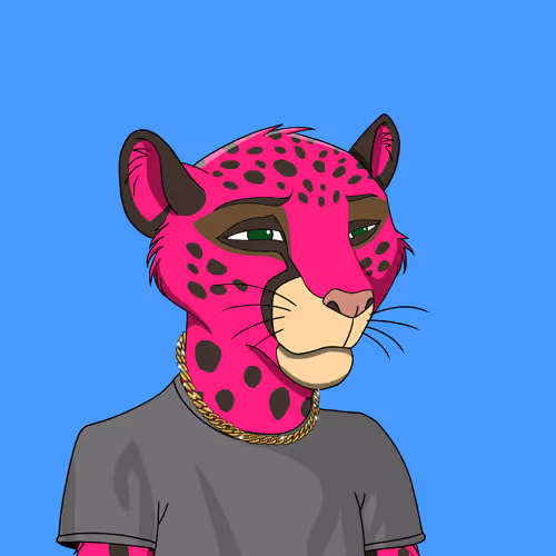 Coalition Crew 2 0