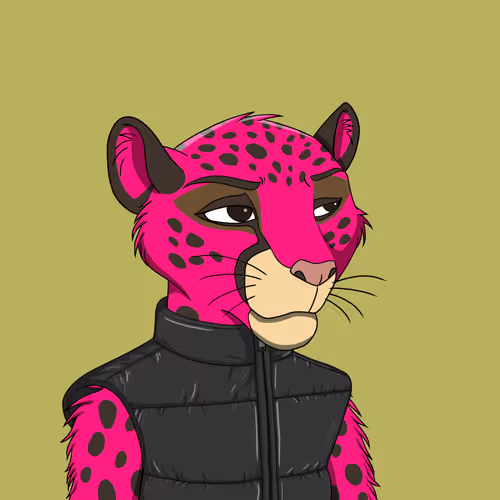 Coalition Crew 2 0