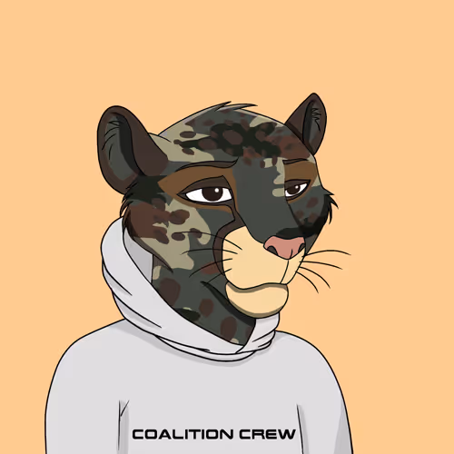Coalition Crew 2 0