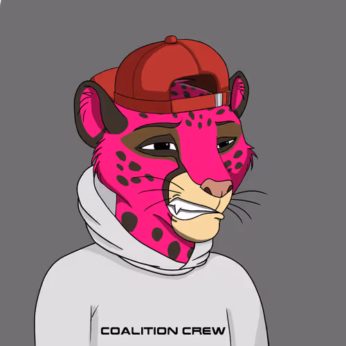 Coalition Crew 2 0