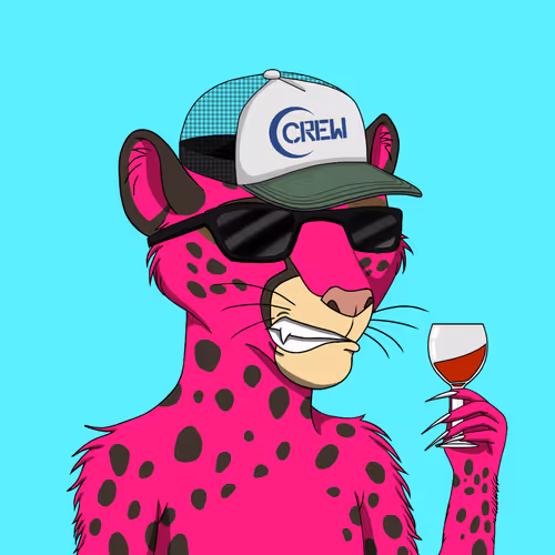 Coalition Crew 2 0