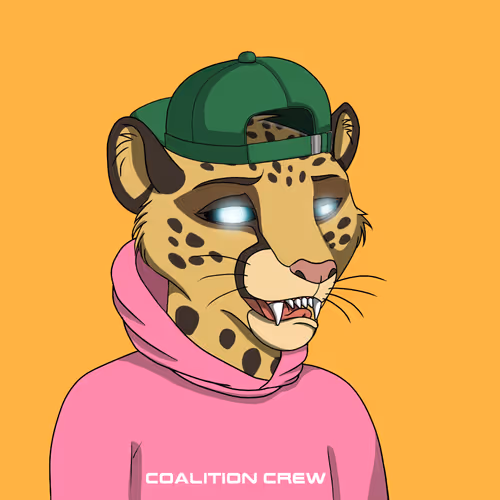 Coalition Crew 2 0