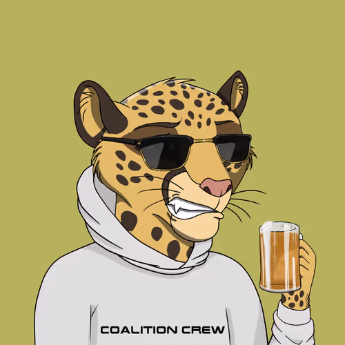 Coalition Crew 2 0