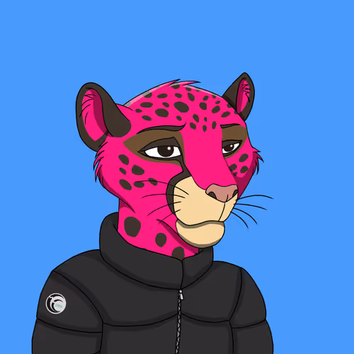 Coalition Crew 2 0