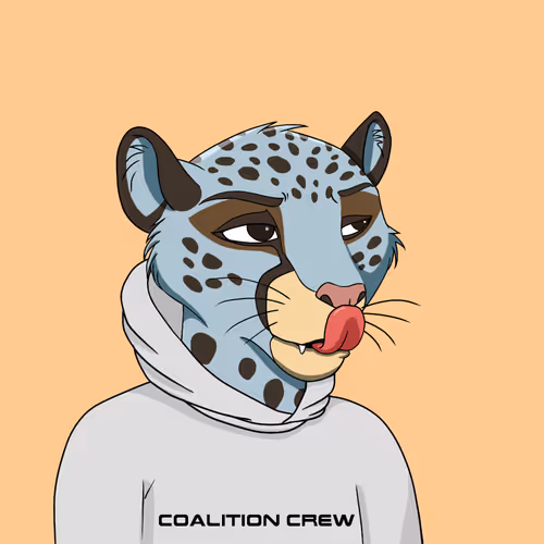 Coalition Crew 2 0