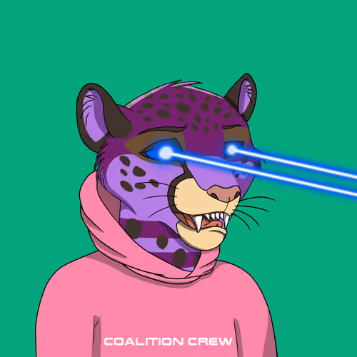 Coalition Crew 2 0