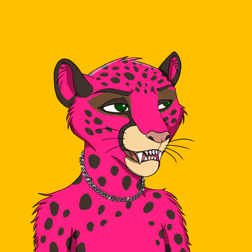 Coalition Crew 2 0