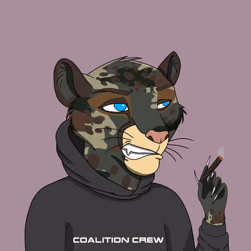 Coalition Crew 2 0