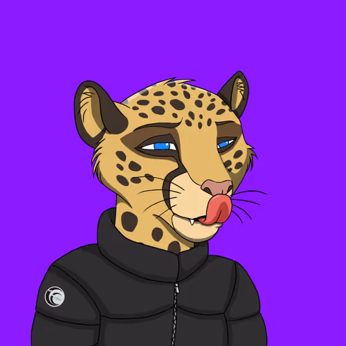 Coalition Crew 2 0
