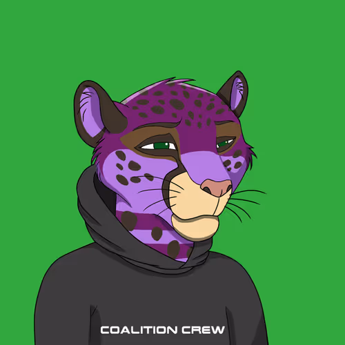 Coalition Crew 2 0