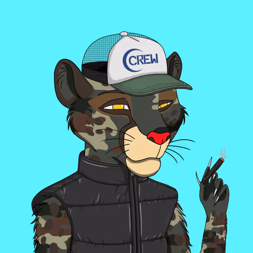 Coalition Crew 2 0