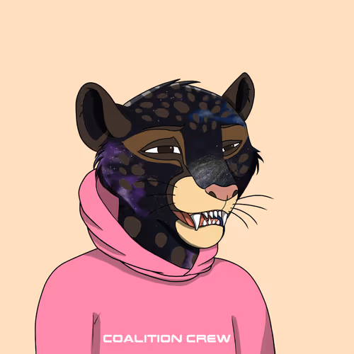 Coalition Crew 2 0