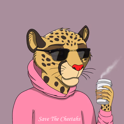 Coalition Crew 2 0