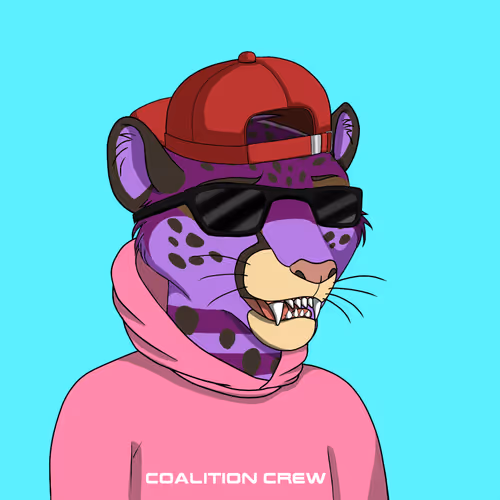 Coalition Crew 2 0